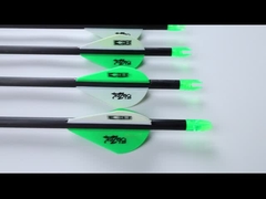 .204 暗殺者 狩猟矢