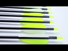 標準サイズ 6.2mm 狩猟と標的矢 爆撃プロシリーズ